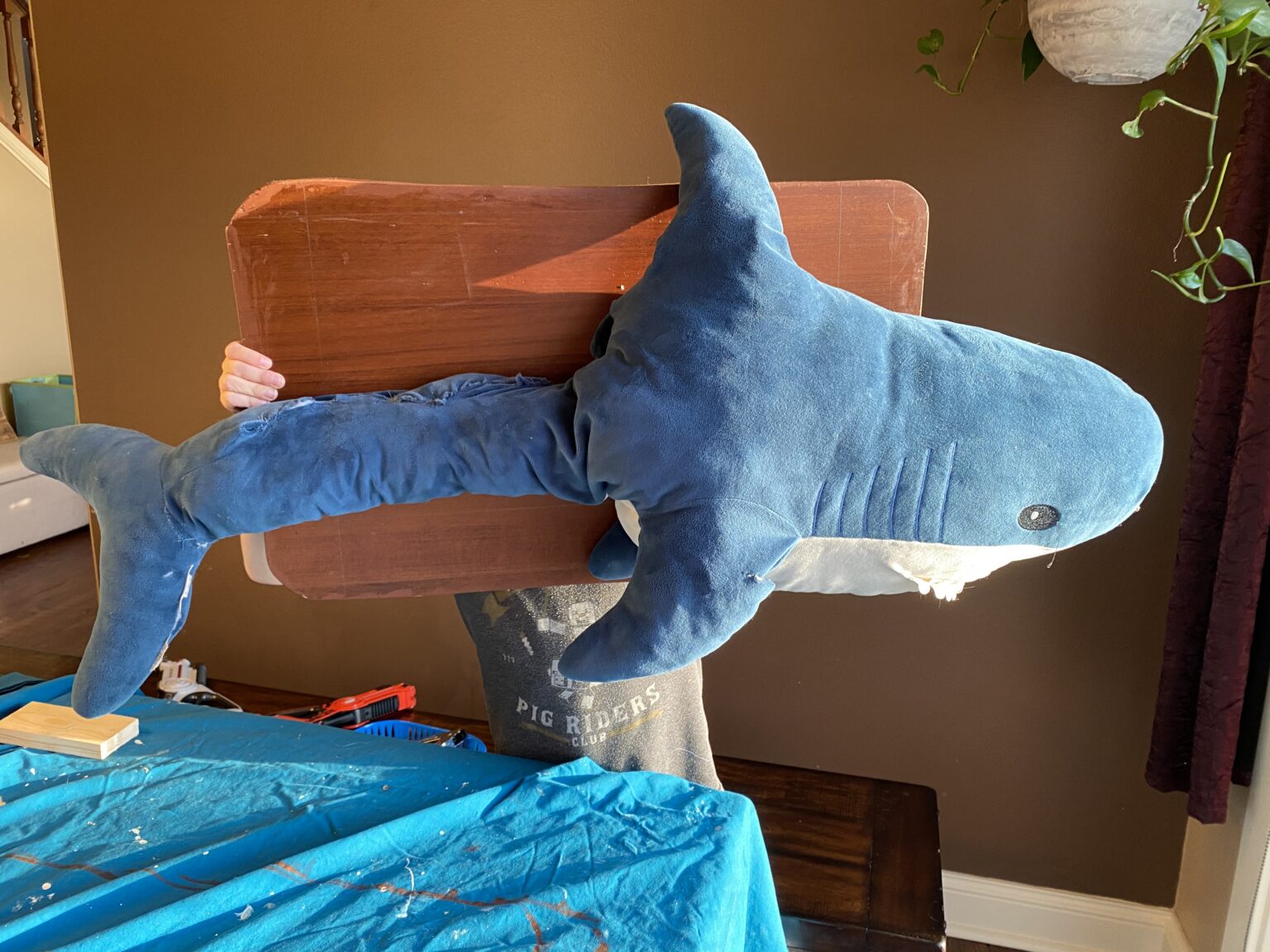 Whodonit? (Plush) Shark Attack and Restoration