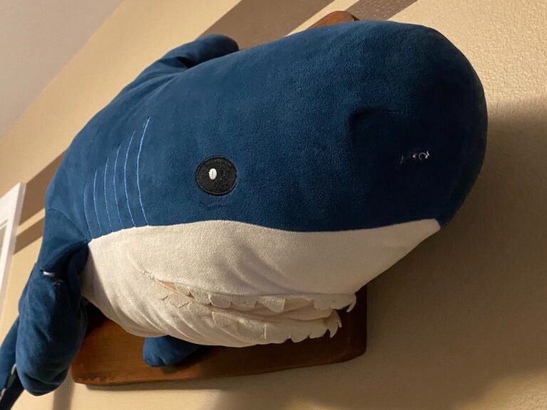 the $12 million stuffed shark