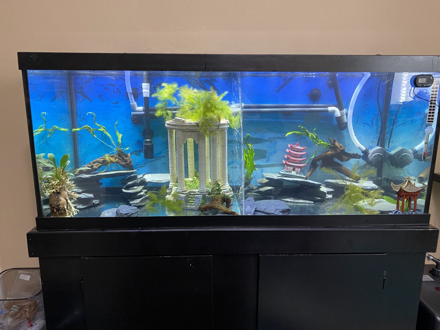 DIY Aquarium Divider   IMG 0852 1536x1152 